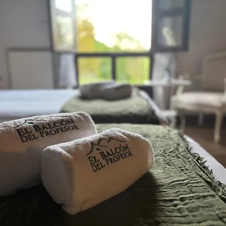 El Balcon Del Profesor Hotel